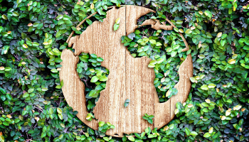 Регламентът за екодизайн на устойчиви продукти: още една крачка към зеления преход